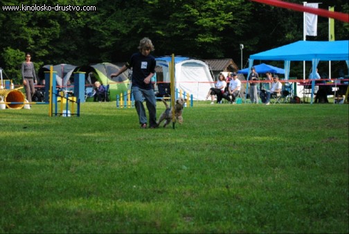 Agility 2011 - KD Slovenska Bistrica DSC 0450