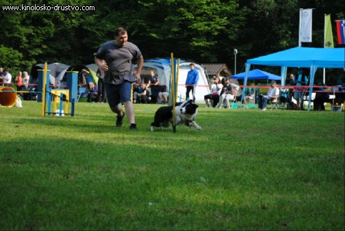 Agility 2011 - KD Slovenska Bistrica DSC 0494