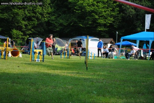 Agility 2011 - KD Slovenska Bistrica DSC 0497