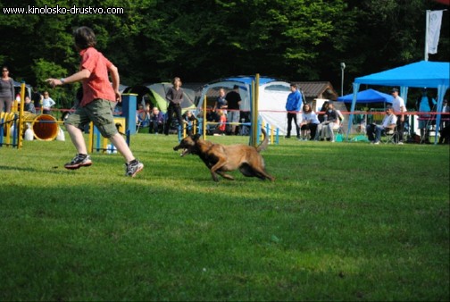 Agility 2011 - KD Slovenska Bistrica DSC 0505