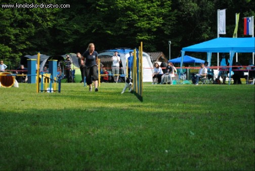 Agility 2011 - KD Slovenska Bistrica DSC 0517