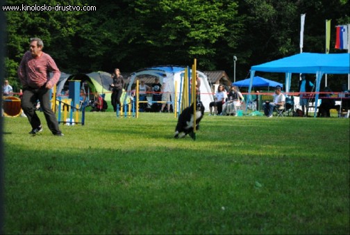 Agility 2011 - KD Slovenska Bistrica DSC 0533