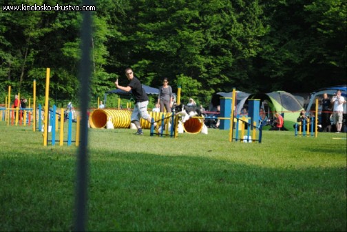 Agility 2011 - KD Slovenska Bistrica DSC 0564