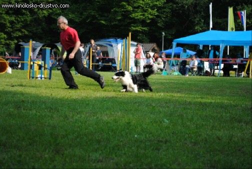 Agility 2011 - KD Slovenska Bistrica DSC 0572