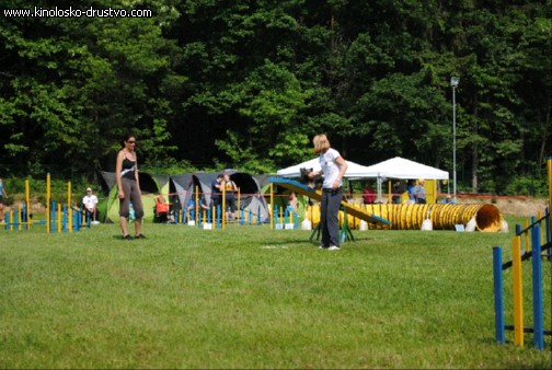 Agility 2011 - KD Slovenska Bistrica DSC 0699