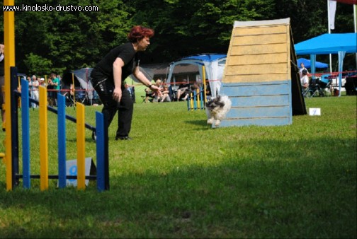Agility 2011 - KD Slovenska Bistrica DSC 0710