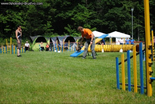 Agility 2011 - KD Slovenska Bistrica DSC 0713