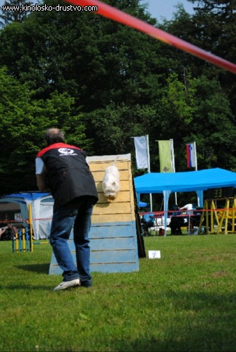 Agility 2011 - KD Slovenska Bistrica DSC 0718