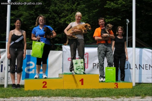 Agility 2011 - KD Slovenska Bistrica DSC 0924
