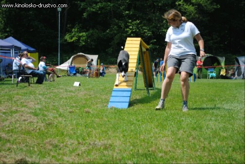 Agility 2011 - KD Slovenska Bistrica DSC 1142