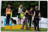Agility 2011 - KD Slovenska Bistrica DSC 0965