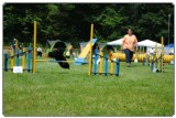 Agility 2011 - KD Slovenska Bistrica DSC 0980