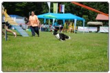 Agility 2011 - KD Slovenska Bistrica DSC 1043