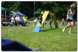 Agility 2011 - KD Slovenska Bistrica DSC 1047
