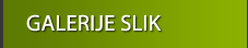 galerija slik
